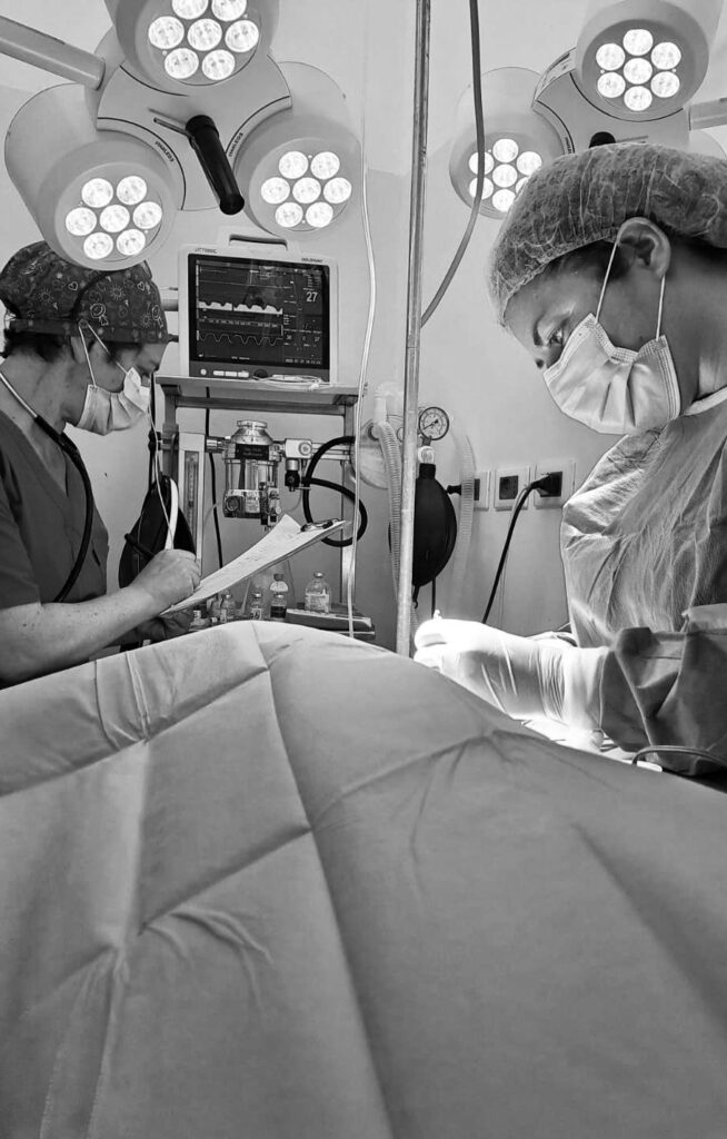 chirurgia-veterinaria